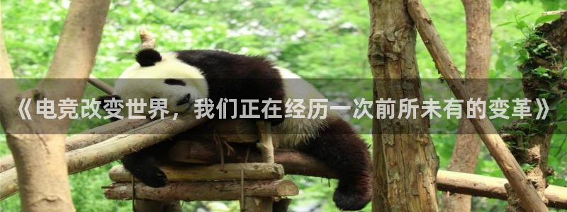 乐竞电竞app官方入口下载：《电竞改变世界，我们正在经历一次前所未有的变革》