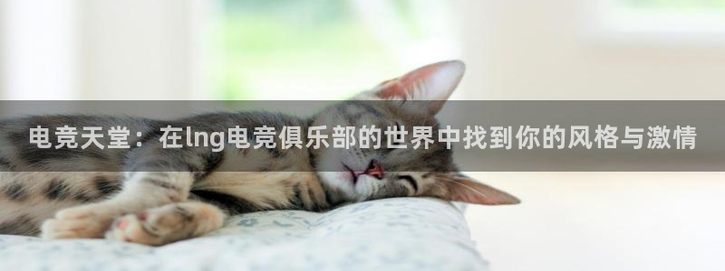 乐竞电竞竞猜：电竞天堂：在lng电竞俱乐部的世界中找到你的风格与激情