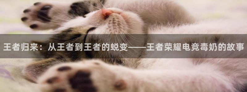 成都乐竞电竞青训基地：王者归来：从王者到王者的蜕变——王者荣耀电竞毒奶的故事