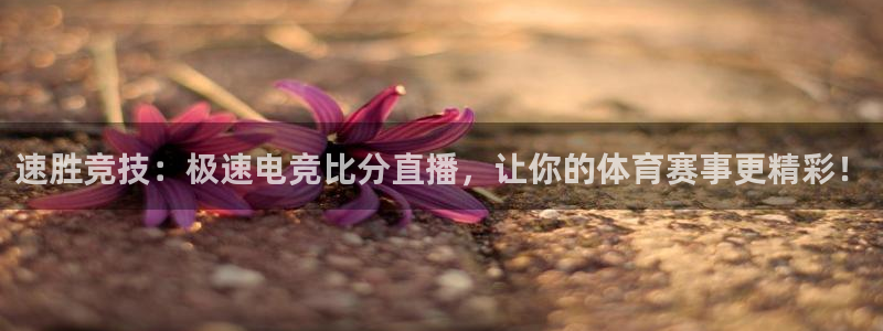 乐竞电竞体育官网：速胜竞技：极速电竞比分直播，让你的体育赛事更精彩！