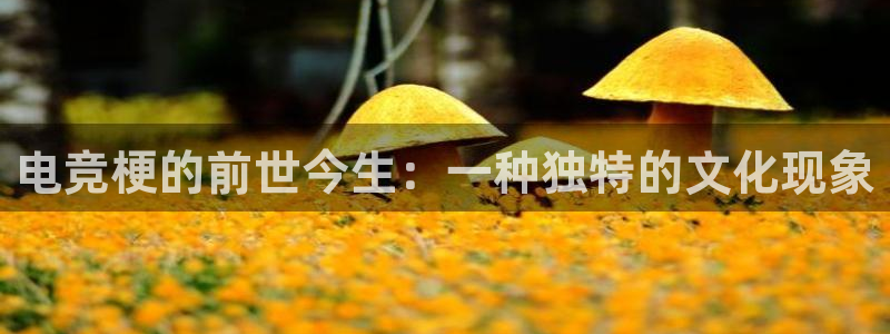 成都乐竞电竞青训基地