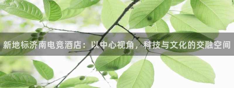 乐竞电竞app官方入口下载：新地标济南电竞酒店：以中心视角，科技与文化的交融空间