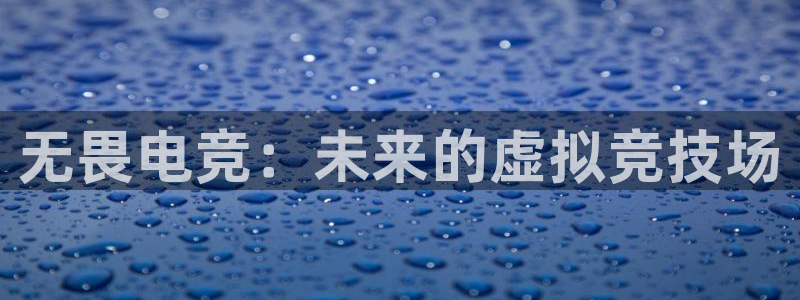 乐竞电竞体育官网：无畏电竞：未来的虚拟竞技场