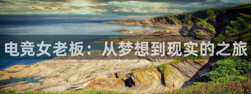 乐竞电竞青训基地：电竞女老板：从梦想到现实的之旅