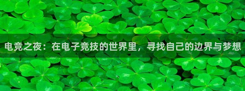 乐竞电竞平台：电竞之夜：在电子竞技的世界里，寻找自己的边界与梦想