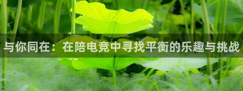 乐竞电竞官网首页
