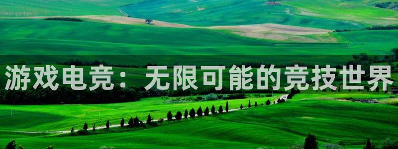 乐竞电竞体育官网：游戏电竞：无限可能的竞技世界
