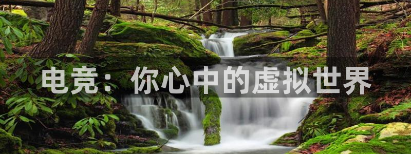 乐竞电竞官网首页：电竞：你心中的虚拟世界