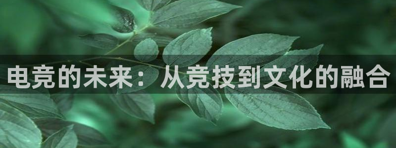 乐竞电竞官网首页