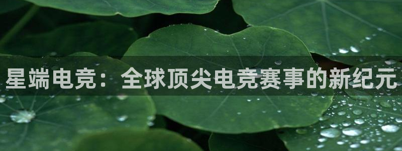 乐竞电竞学院怎么样：星端电竞：全球顶尖电竞赛事的新纪元