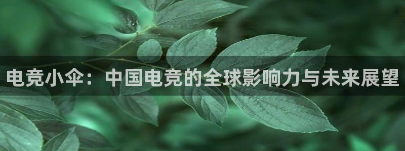 乐竞电竞青训基地：电竞小伞：中国电竞的全球影响力与未来展望