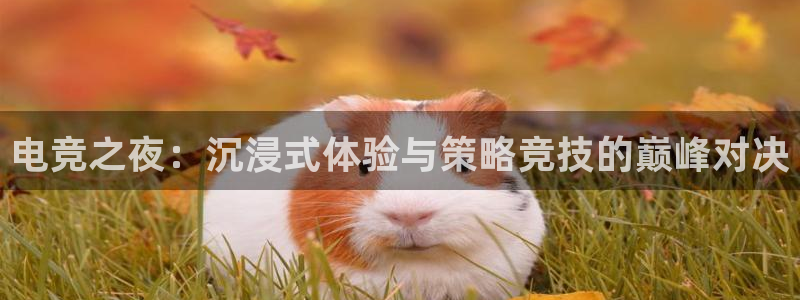 乐竞电竞青训基地：电竞之夜：沉浸式体验与策略竞技的巅峰对决